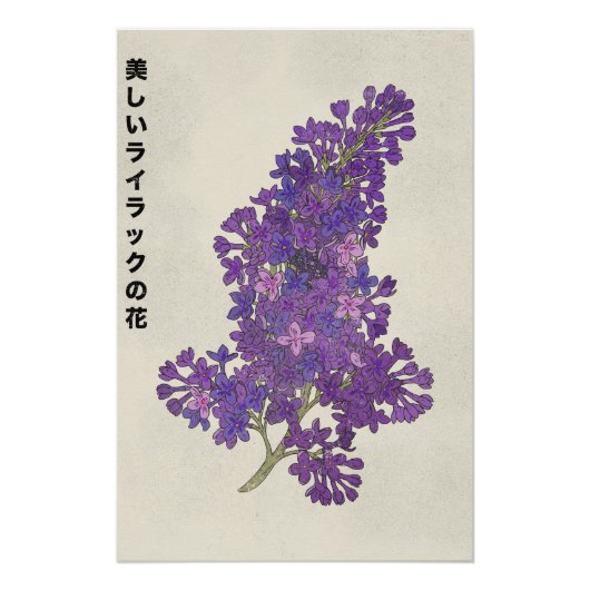 The Beautiful Lilac Flower ポスター (正面)