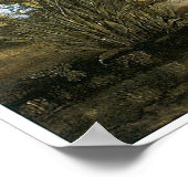 The Beguiling of Merlin ポスター (角)