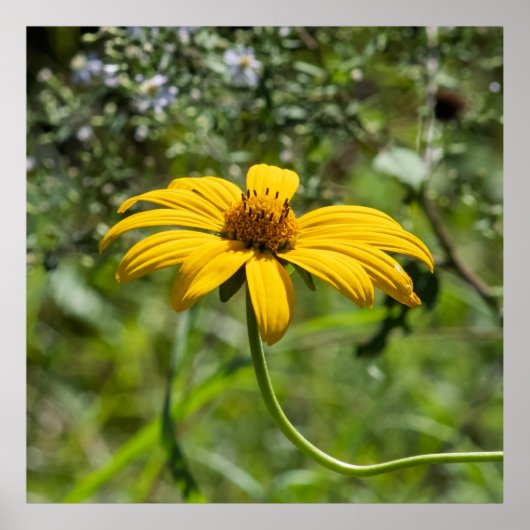 The Bend Floral ポスター (正面)