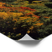 The Big Carp River in autumn at Porcupine ポスター (角)