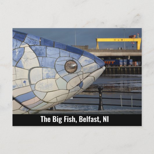 The Big Fish, Belfast, Northern Ireland，イギリス シーズンポストカード (正面)