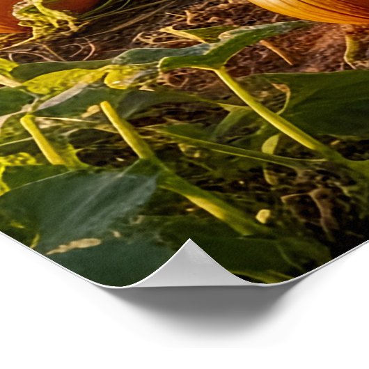 The Big One ポスター (角)