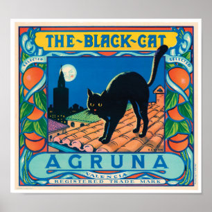 The Black Cat Agruna Valencia Oranges Vintage Cool ポスター