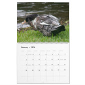 THE BLACK-HOODED DUCK 2026 CALENDAR カレンダー (2月 2026)