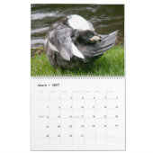 THE BLACK-HOODED DUCK 2026 CALENDAR カレンダー (3月 2027)