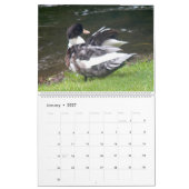 THE BLACK-HOODED DUCK 2026 CALENDAR カレンダー (1月 2027)