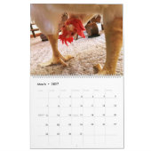 The Boo 実在 the Roo 2020カレンダー カレンダー (3月 2027)