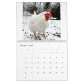 The Boo 実在 the Roo 2020カレンダー カレンダー (1月 2027)