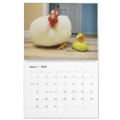 The Boo 実在 the Roo 2022カレンダー カレンダー (3月 2026)