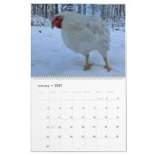 The Boo 実在 the Roo 2022カレンダー カレンダー (1月 2027)