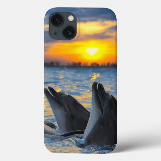 The bottle-nosed dolphins in sunset light Case-Mate iPhoneケース (裏面)