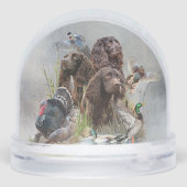 The Boykin Spaniel (裏面)