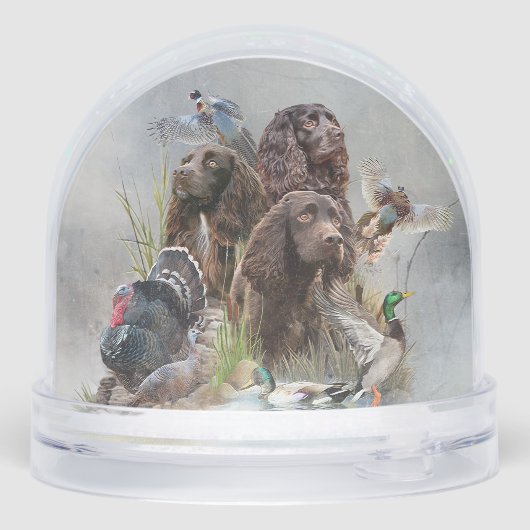 The Boykin Spaniel (裏面)