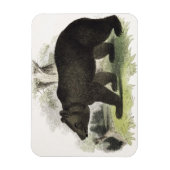The Brown Bear,教育イラストレーションパブ.by t マグネット (縦)