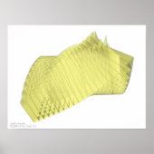 The Bull – プログラム式 ポスター (正面)