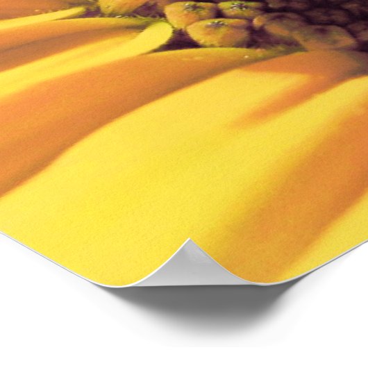 The Butterfly is a Flying Flower ポスター (角)