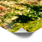 The California Tower ポスター (コーナー)