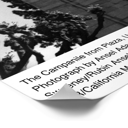 The Campanile from Plaza, UC Berkeley, 1964 ポスター (角)