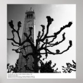 The Campanile from Plaza, UC Berkeley, 1964 ポスター (正面)