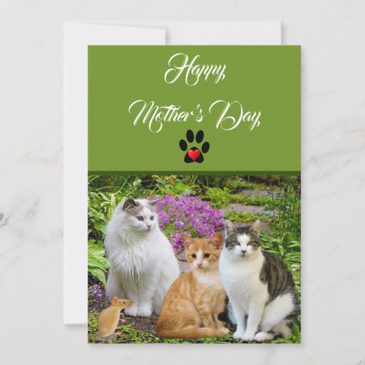 The Cat Happy Mother's Dayフラットカードから 招待状 (正面)