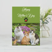 The Cat Happy Mother's Dayフラットカードから 招待状 (スタンド正面)