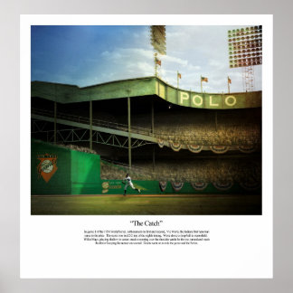 The Catch ポスター