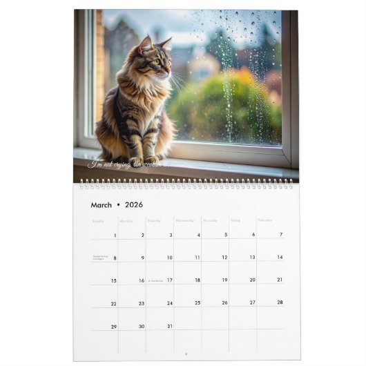The Catwalk Chronicles - Funny カレンダー (3月 2026)
