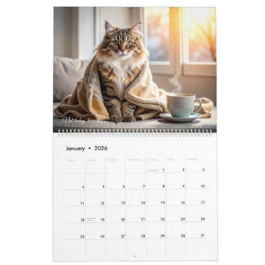 The Catwalk Chronicles - Funny カレンダー (1月 2026)