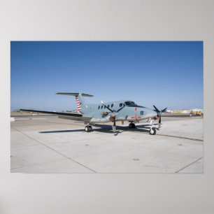 The Centennial of Naval Aviation Commemorative ポスター