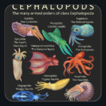 The Cephalopod Octopus Squid Cuttlefish スクエアシール<br><div class="desc">The Cephalopod Octopus Squid Cuttlefish</div>