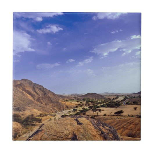 The charming beauty of desert nature under a blue  タイル (正面)