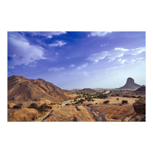 The charming beauty of desert nature under a blue  フォトプリント            (正面)