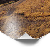 The charming beauty of desert nature under a blue  フォトプリント            (角)