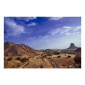 The charming beauty of desert nature under a blue ポスター (正面)