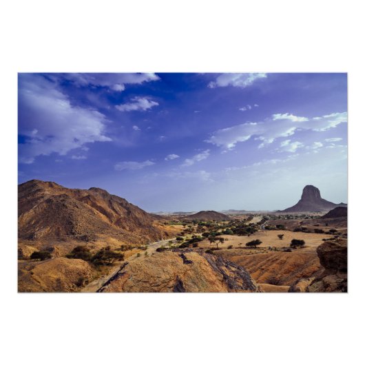 The charming beauty of desert nature under a blue  ポスター (正面)