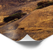 The charming beauty of desert nature under a blue  ポスター (コーナー)