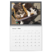 The Chronicles of Todd & Friends 2026 Calendar カレンダー (1月 2026)