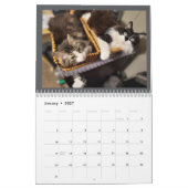 The Chronicles of Todd & Friends 2026 Calendar カレンダー (1月 2027)