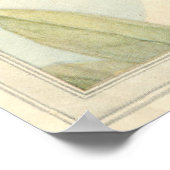 THE CICADA – 昆虫の本イラストレーション ポスター (角)