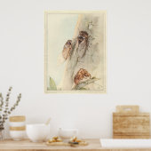 THE CICADA – 昆虫の本イラストレーション ポスター (キッチン)