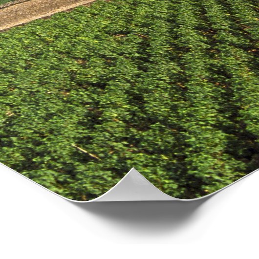 The Clos de Vougeot 16th century monastery and ポスター (角)