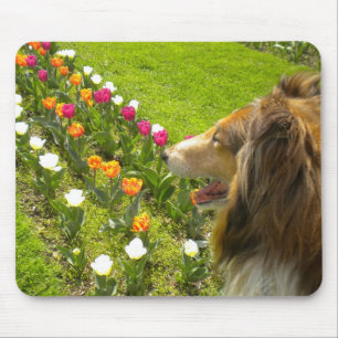 The Collie N More Tulipマウスパッド マウスパッド