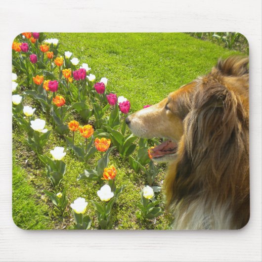 The Collie N More Tulipマウスパッド マウスパッド (正面)
