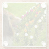 The Collie N the Tulips Trinket Box ガラスコースター (裏面)