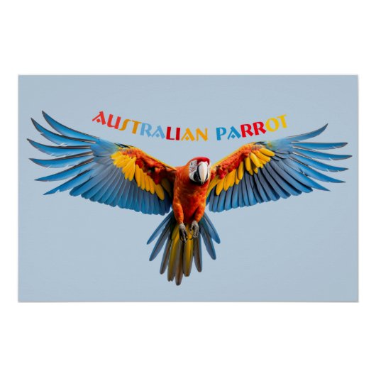The colorful Parrot ポスター (正面)