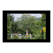 THE COUNTRY GARDENポスター