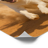 "The Coyote is After You!" ポスター (角)