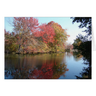 The Creekに沿う秋