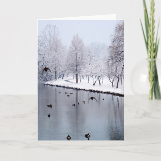 The Creekのアヒル カード (正面)