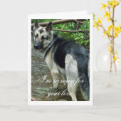 The Creekのジャーマン・シェパード; 悔やみや弔慰 カード (黄色い花)